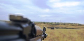 ¿Cómo afrontan los agricultores ucranianos la situación de guerra?