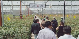 Acemi Spain celebra una jornada técnica sobre aprendizaje y transmisión de conocimientos acerca del cultivo de pistacho