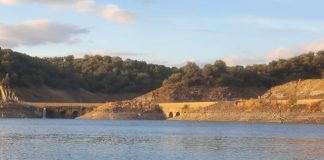 Inician un proyecto para frenar el impacto de las especies invasoras en los sistemas de riego embalse