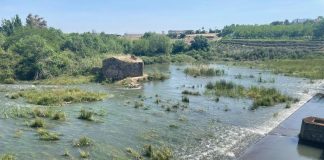 Asaja Extremadura denuncia el desembalse del pantano de Alange, a pesar de la situación crítica de la cuenca del Guadiana
