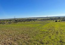 España no cuenta con un inventario público y accesible que permita conocer cuántas hectáreas rústicas están disponibles finca rústica