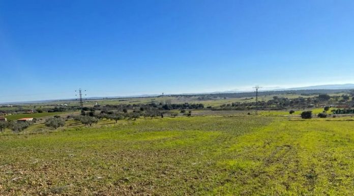 España no cuenta con un inventario público y accesible que permita conocer cuántas hectáreas rústicas están disponibles finca rústica