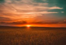 UPA Castilla-La Mancha advierte que la Confederación Hidrográfica del Guadiana puede abocar a los agricultores al secano secano