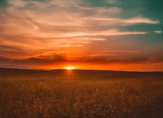UPA Castilla-La Mancha advierte que la Confederación Hidrográfica del Guadiana puede abocar a los agricultores al secano secano
