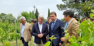 Andalucía seguirá siendo la primera perceptora de las ayudas de la próxima Política Agraria Común (PAC) Ministro de Agricultura