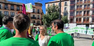 Lola Merino (PP) lamenta “la falta de respuestas” del Gobierno de Castilla-La Mancha a agricultores y ganaderos Lola Merino
