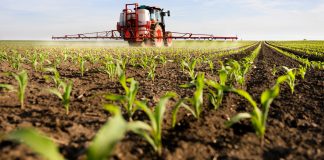 Una gran multinacional ve posible reducir el uso de fitosanitarios con herramientas digitales fitosanitarios