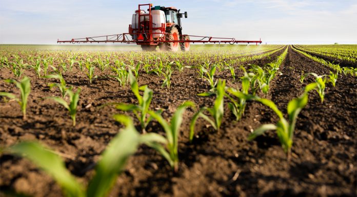 Nuevo varapalo en Europa para el uso de glifosato en productos fitosanitarios fitosanitarios