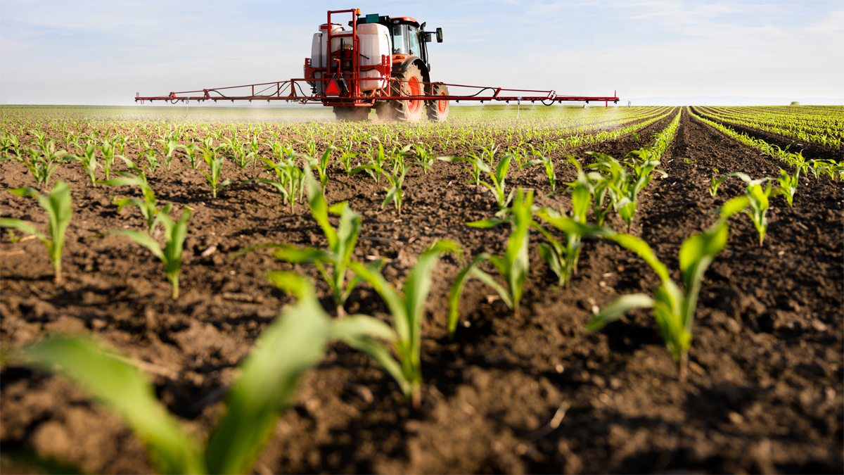 Bruselas renovará la autorización del herbicida glifosato otros 10 años -  El Periódico