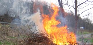 Asaja Extremadura protestará por las prohibiciones impuestas para la quema de restos de poda quema de restos de poda