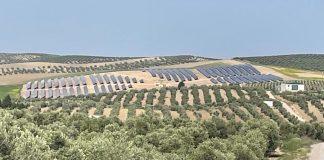 Regantes de Jaén estiman que las pérdidas por no poder vender sus excedentes de energía solar superan los dos millones