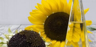 El aceite de girasol incrementa su consumo en un 40 por ciento pero sin desbancar al de oliva aceite de girasol