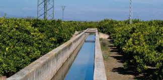 Un estudio defiende el regadío histórico y tradicional por sus valores agrícolas riego regantes