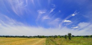 Ucrania pide a Bruselas que acabe con el veto a su grano en cinco países de la UE campo
