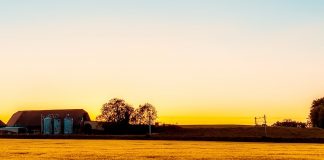 24 detenidos y 20 kilos de cocaína incautados a una banda que ocultaba droga en naves agrícolas de Cuenca finca