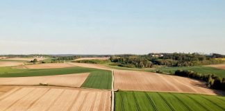 ¿Qué requisitos deberán cumplir las parcelas agrícolas para cobrar la nueva PAC en España? parcelas agrícolas