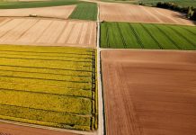 2,1 millones de ayuda básica a la renta de la PAC 2025 para los agricultores y ganaderos de Castilla-La Mancha parcelas