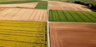 Los pequeños agricultores que no sean agricultores activos en este 2023 y cobren más de 5.000 euros podrán ceder los derechos PAC este año parcelas