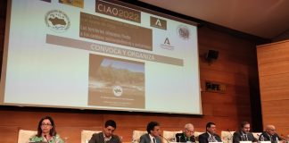 El secretario general de Agricultura y Alimentación valora los beneficios de la nueva PAC para el sector oleícola español