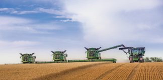 La sequía en EEUU detiene la sangría del precio del cereal en España COSECHADORAS