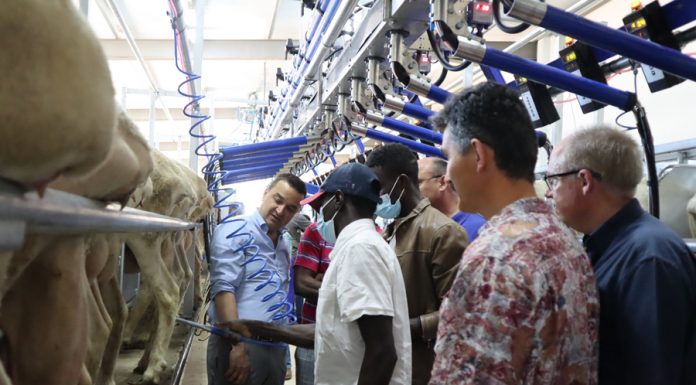 La Escuela de Pastores de Castilla-La Mancha echa a andar