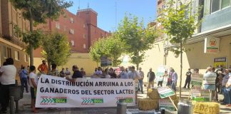 Alerta de que la baja rentabilidad para los ganaderos por los altos costes pone en riesgo la normal producción de leche