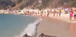 Vídeo. La ola de calor afecta hasta a los jabalíes, que se refrescan en la playa jabalíes