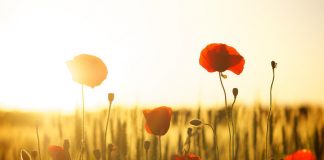 Pone en marcha una guía para prevenir los accidentes laborales por altas temperaturas