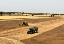 Fuerte subida en la bolsa de cereales europea que introduce tensión en el mercado nacional COSECHADORA