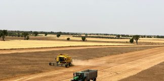 ¿Tocamos fondo en los precios de los cereales durante julio? COSECHADORA
