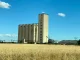 Nace la Red de Ciudades del Cereal, distintivo europeo para reconocer su identidad y tradición silo