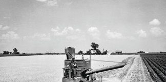 Las cosechadoras autopropulsadas de John Deere cumplen 75 años cosechadora autopropulsada