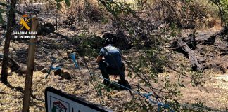 La Guardia Civil detiene a un hombre como supuesto autor de cuatro delitos de incendio forestal Incendio Cáceres