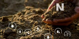 La agricultura de precisión para evitar pérdidas en los cultivos detectando deficiencia de nitrógeno Nitrógeno