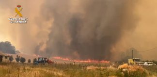 Guardia Civil detiene al presunto autor del incendio forestal de Burgos, por negligencia al hacer uso de una cosechadora Incendio de Burgos