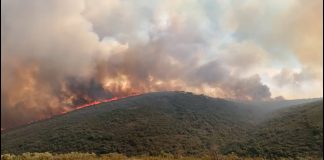 Vídeo. Grave incendio en la sierra de Malagón (Ciudad Real)