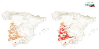 El cambio climático aumentará el riesgo de incendios en las dehesas españolas
