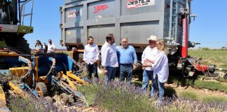 Núñez insta al Gobierno de Castilla-La Mancha a que se “tome en serio” al sector de la lavanda