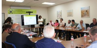 Critican que la nueva ayuda asociada al olivar dejará fuera a los de mayores dificultades específicas y mayor valor medioambiental