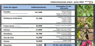 El primer semestre de 2022 termina con la mayor siniestralidad registrada por el seguro agrario