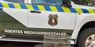 UGT reivindica una ley regional de Agentes Medioambientales de Castilla-La Mancha agentes medioambientales