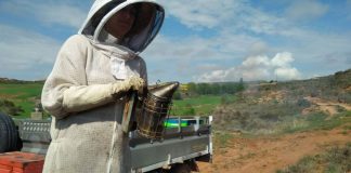 ¿Cómo afectan las limitaciones por riesgo de incendios a la actividad apícola? apicultura