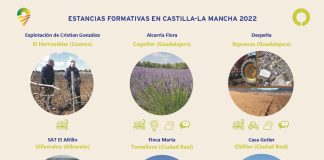 Mapa de las prácticas en Castilla-La Mancha del Erasmus Rural (Cultiva 2022) Cultiva 2022
