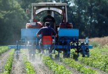 ASAJA reclama eliminar los aranceles a los fertilizantes ante la escalada de costes por la tensión geopolítica fertilizantes