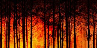 Santander habilita una línea de 15 millones para los afectados por los incendios de Galicia