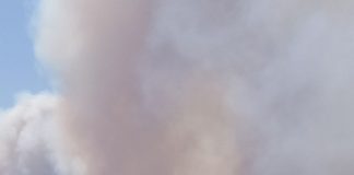 Opinión. La España abandonada y calcinada. Antonio Gómez Olmos. Editor de www.agroclm.com incendio Ateca