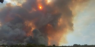 SEPRONA investiga a dos personas como supuestos autores de un delito de incendio forestal en Almadén incendio