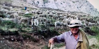 Critica la falta de políticas de prevención de incendios y apunta a la ganadería extensiva como solución