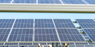 El sector fotovoltaico defiende su instalación en el campo con reglas y sin conflictos placas fotovoltaicas