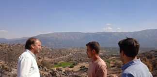 Piden ayudas urgentes para los ganaderos afectados por los incendios de Cebreros y San Juan de la Nava Incendio Ávila